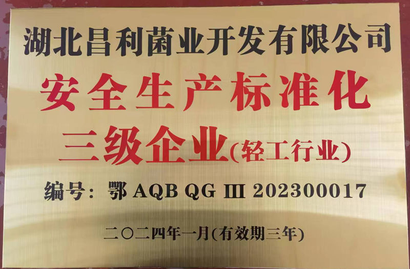 安全生產(chǎn)標準化三級企業(yè)