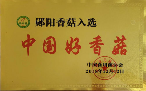 中國(guó)好香菇