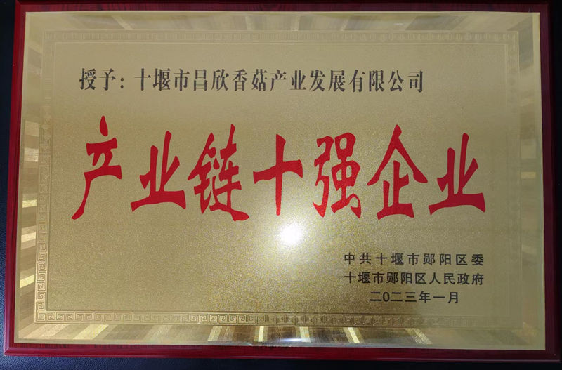 產(chǎn)業(yè)鏈?zhǔn)畯?qiáng)企業(yè)