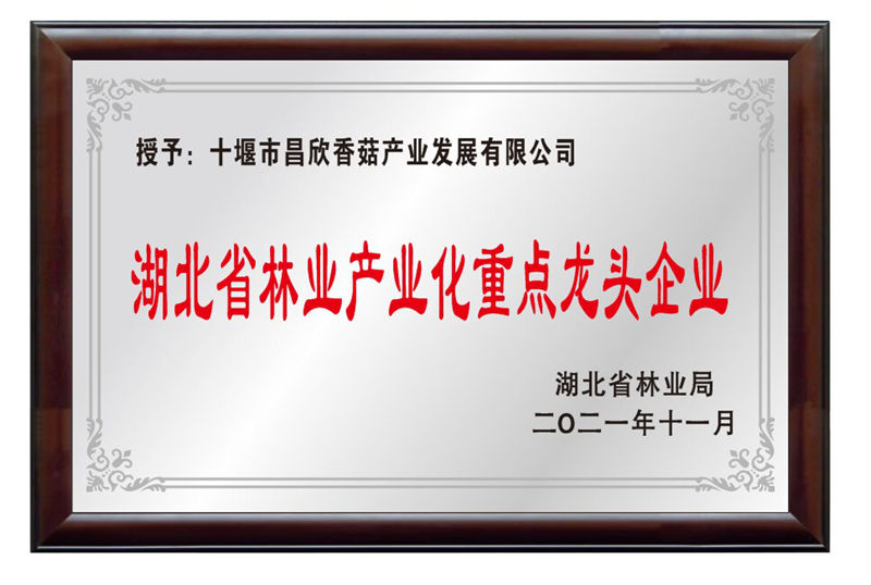 湖北省林業(yè)產(chǎn)業(yè)化重點龍頭企業(yè)